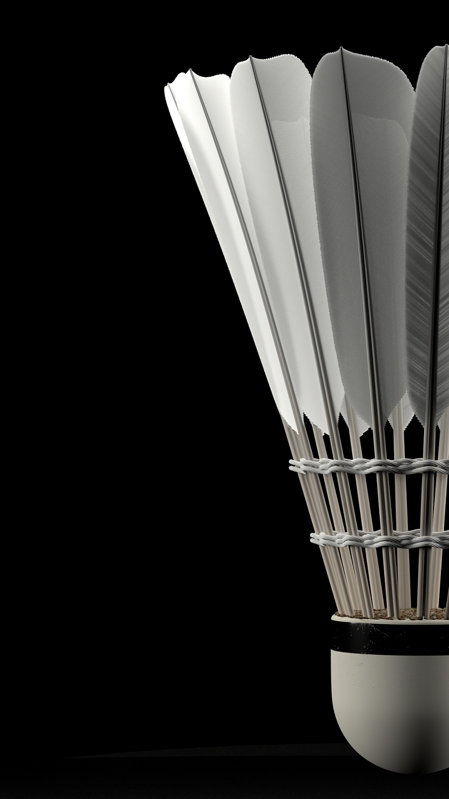 这一案例表 这一案例表