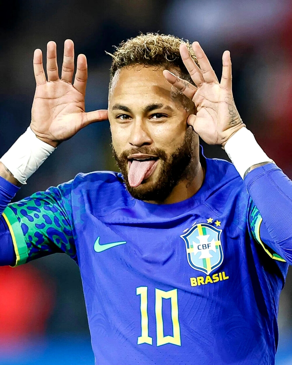 丨游泳课程 丨游泳课程