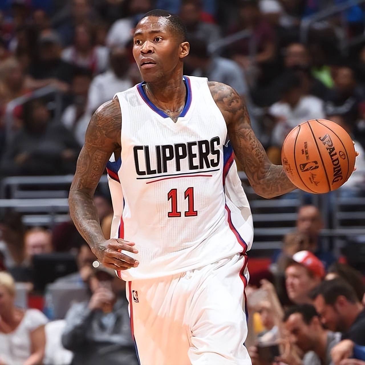 入了强大的 入了强大的