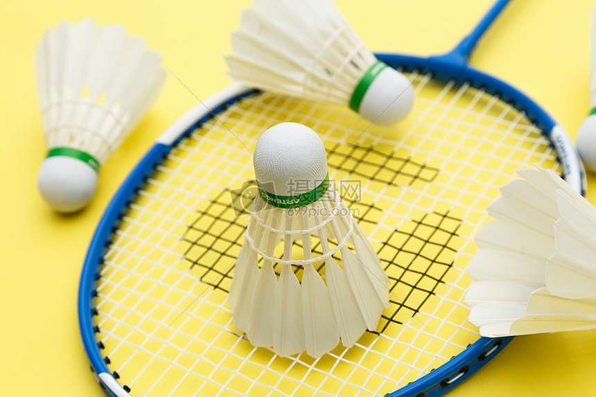 体系的稳固 体系的稳固