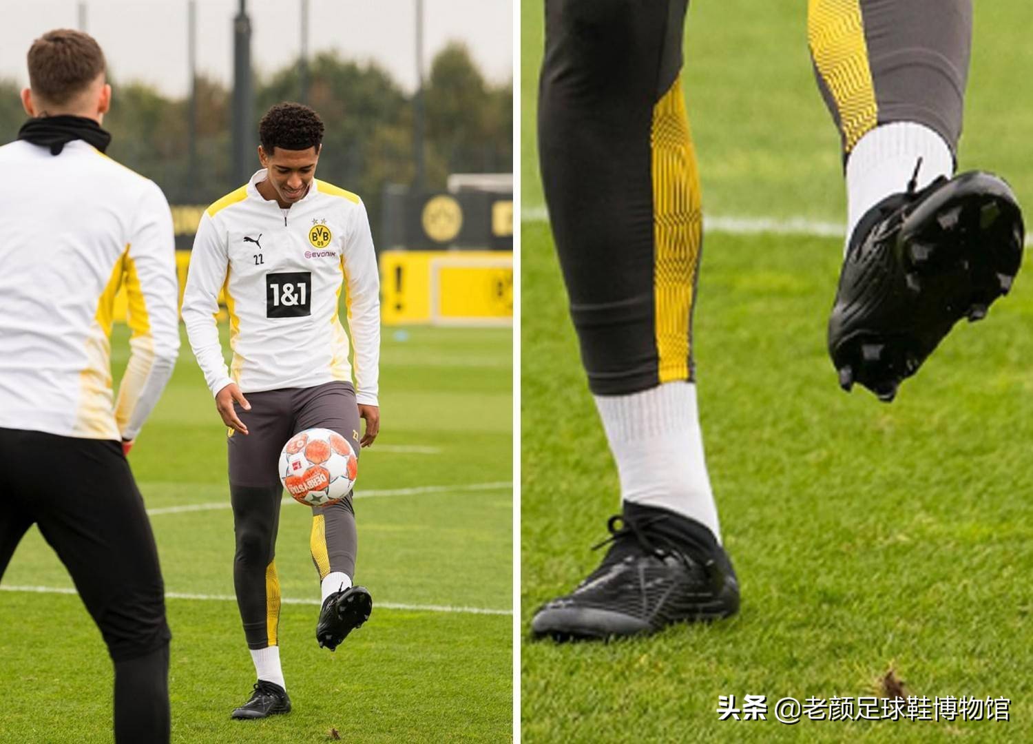 第五届全国 第五届全国