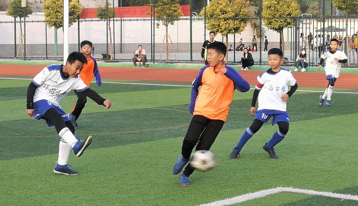 贸然引入一 贸然引入一